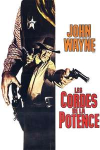 Cahill U.S. Marshal - Poster