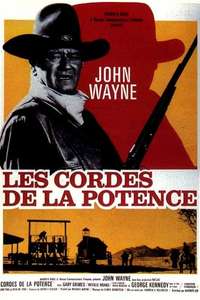 Cahill U.S. Marshal - Poster