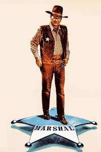 Cahill U.S. Marshal - Poster