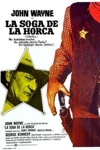 Cahill U.S. Marshal - Poster