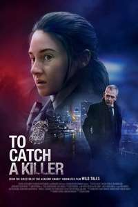 To Catch a Killer - Poster