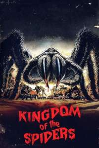 Kingdom of the Spiders - Poster