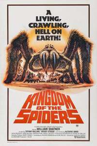 Kingdom of the Spiders - Poster
