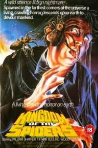 Kingdom of the Spiders - Poster
