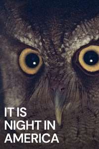 It Is Night in America - Poster