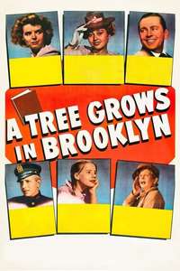 A Tree Grows in Brooklyn - Poster
