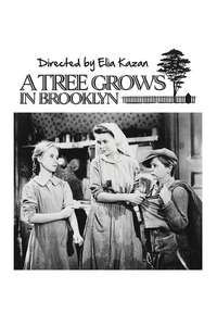 A Tree Grows in Brooklyn - Poster