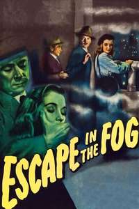 Escape in the Fog - Poster