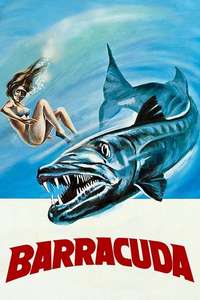Barracuda - Poster