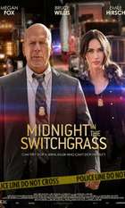 Midnight in the Switchgrass