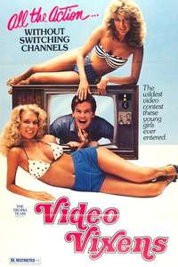 Video Vixens - Posters