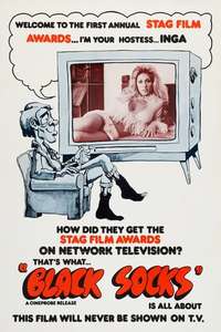 Video Vixens - Posters