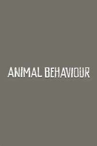 Animal Behaviour - Poster