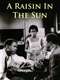 A Raisin in the Sun