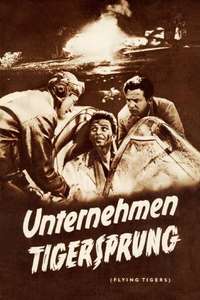 Flying Tigers - Poster