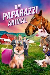 PawParazzi - Poster