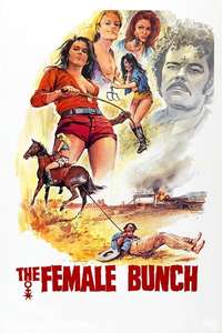 The Female Bunch - Posters