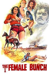 The Female Bunch - Posters