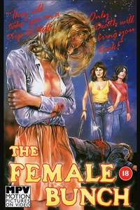 The Female Bunch - Posters