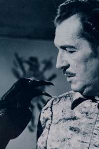 The Raven - Poster