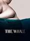 The Whale