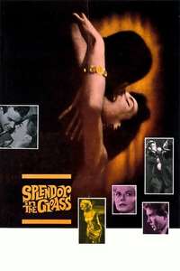 Splendor in the Grass - Poster