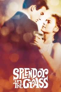 Splendor in the Grass - Poster