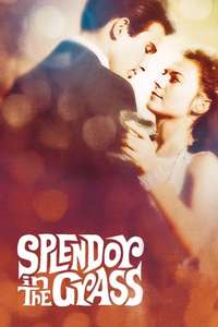 Splendor in the Grass - Poster