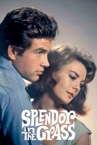 Splendor in the Grass - Poster