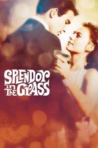 Splendor in the Grass - Poster