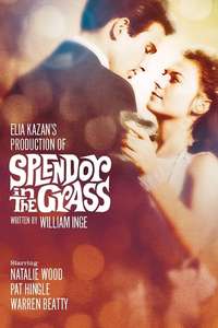 Splendor in the Grass - Poster