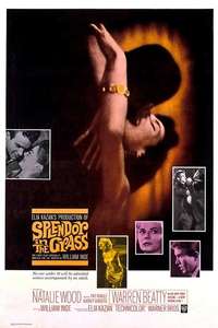 Splendor in the Grass - Poster