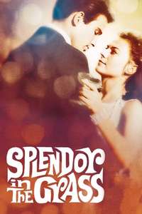 Splendor in the Grass - Poster