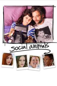 Social Animals - Poster