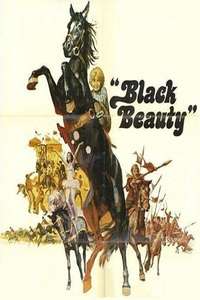 Black Beauty - Posters