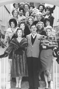 The Ladies Man - Poster