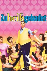 The Ladies Man - Poster
