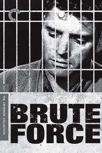Brute Force - Poster