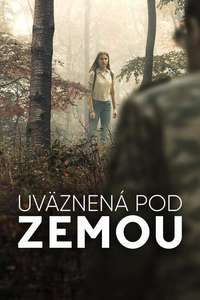 Girl in the Bunker - Posters