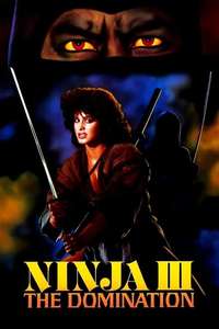 Ninja III: The Domination - Poster