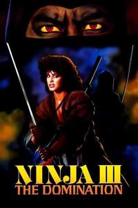 Ninja III: The Domination - Poster