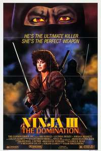 Ninja III: The Domination - Poster