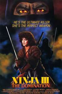 Ninja III: The Domination - Poster