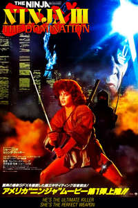 Ninja III: The Domination - Poster