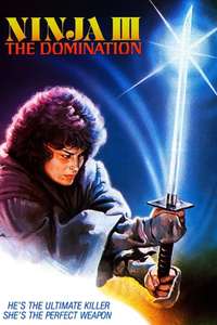 Ninja III: The Domination - Poster