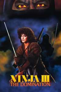 Ninja III: The Domination - Poster
