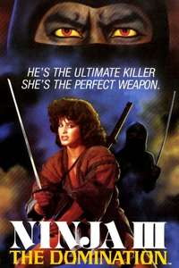 Ninja III: The Domination - Poster