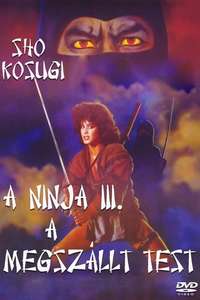 Ninja III: The Domination - Poster