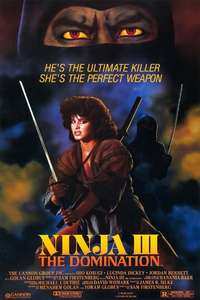 Ninja III: The Domination - Poster