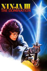 Ninja III: The Domination - Poster